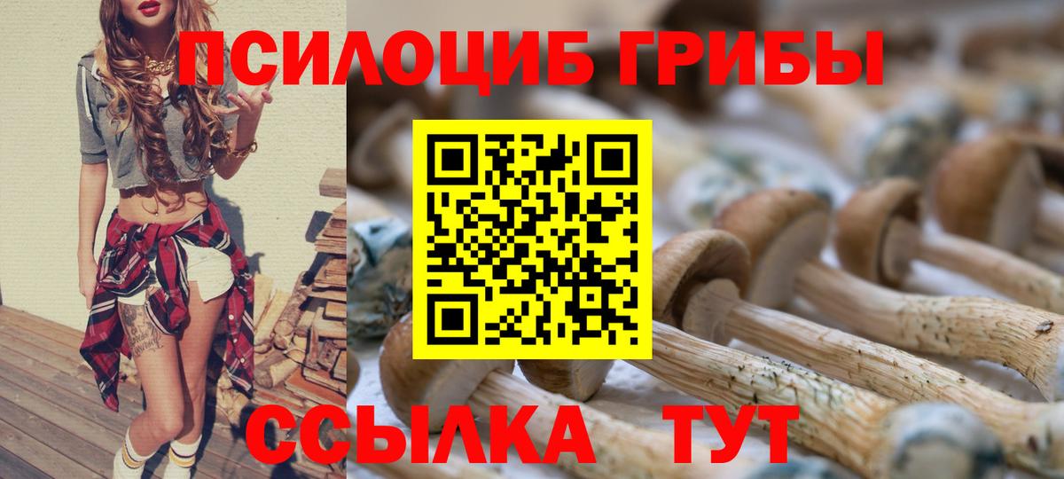 Фролово  Псилоцибиновые грибы MAGIC MUSHROOMS  Вход с VPN 